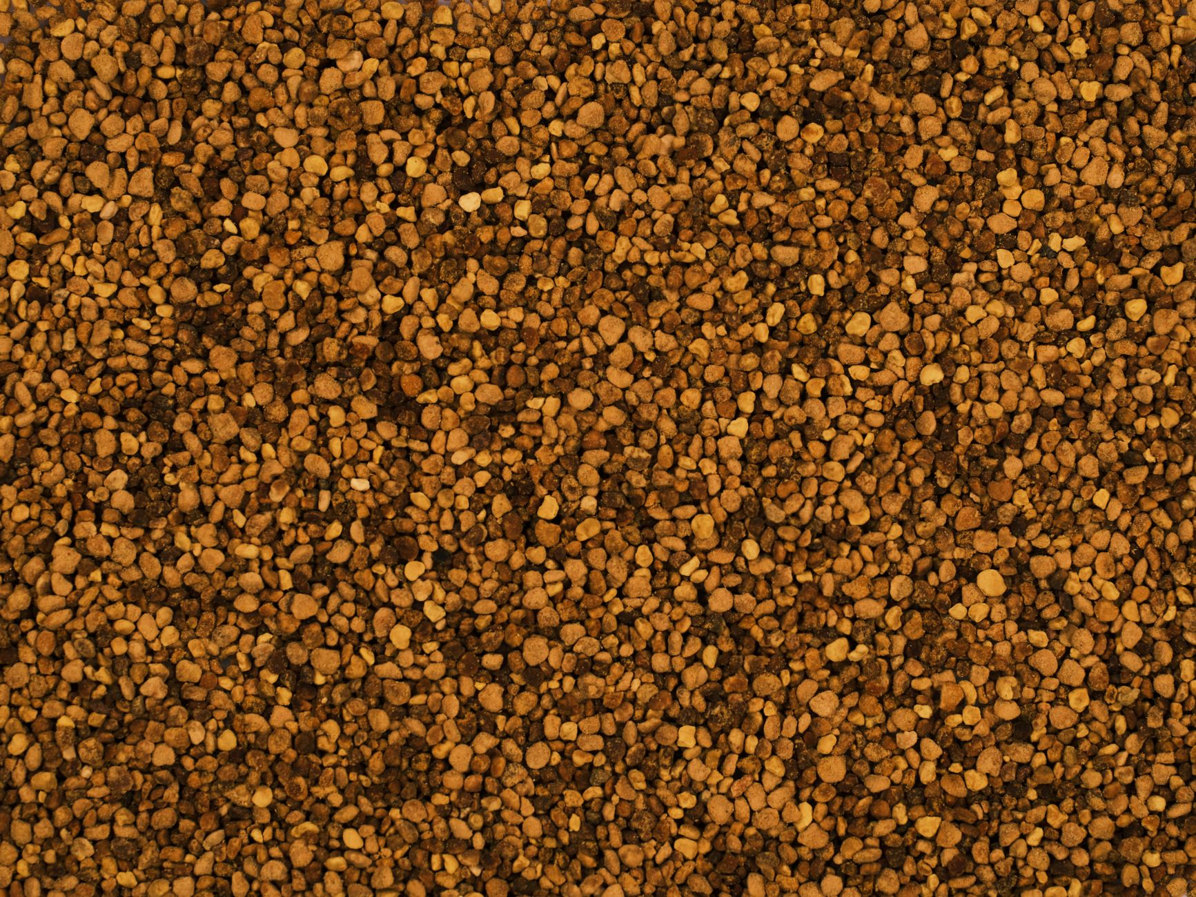 Pollen d’abeille : bienfaits, utilisation, dangers et précautions